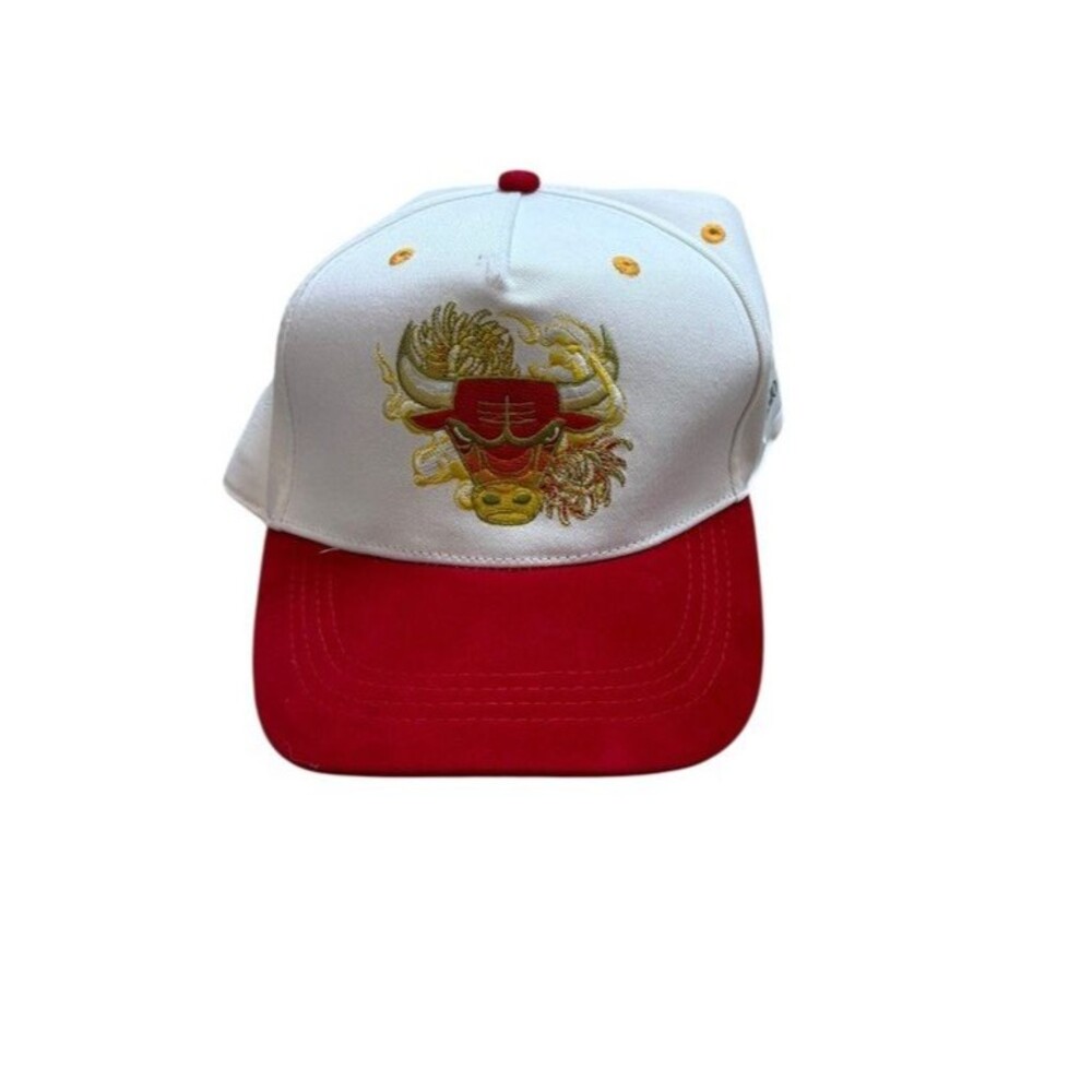 Chicago Bulls Artist Hat Series Cap by Kayla Mahaffey From 12/29/2025 NBA